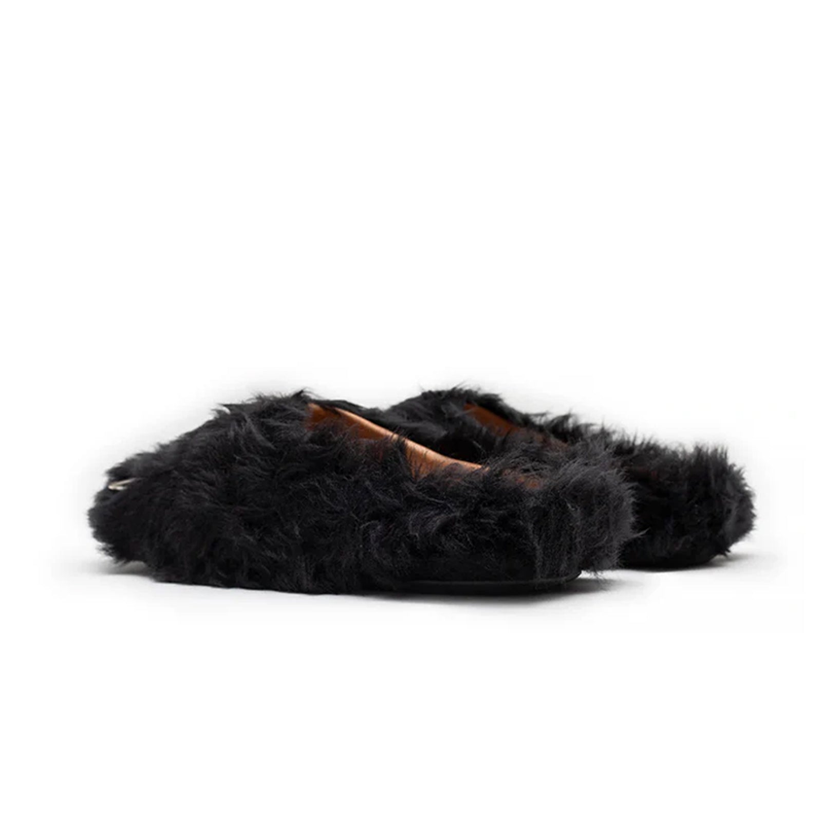Black Bear Claw Slide