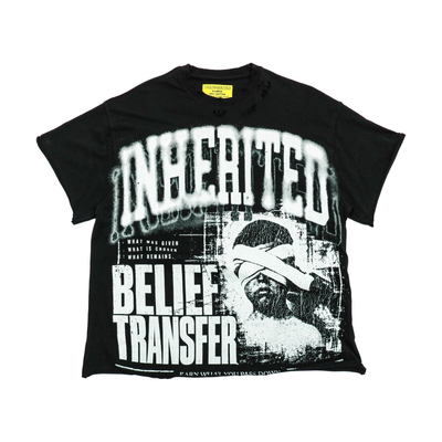 Belief Transfer