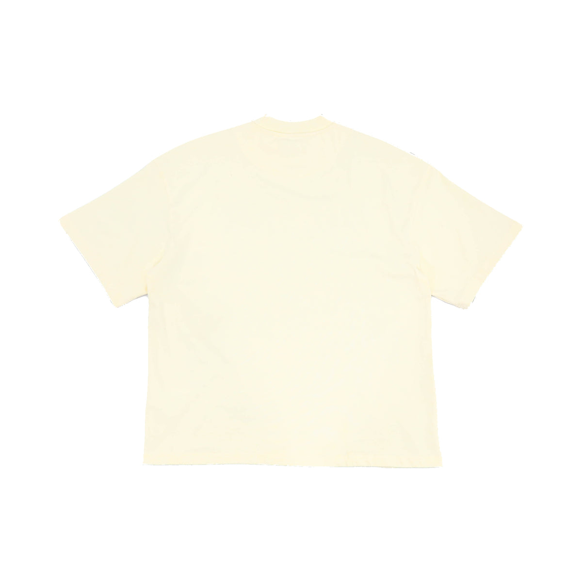 pleasure seeker cream back flat lay on white.